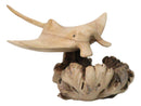 Marine Balinese Hand Carved Coral Reef Manta Ray On Burl Parasite Wood Base 8"L