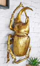 Ebros Large Gold Leaf Resin Modern Chic Exotic Beetle Wall Sculpture Or Table Decoration Museum Gallery Taxidermy Model Figurine Accent (Rhinoceros)