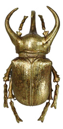 Medium Gold Resin 3 Horned Rhinoceros Beetle Wall Decor Or Tabletop Figurine