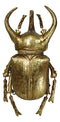 Medium Gold Resin 3 Horned Rhinoceros Beetle Wall Decor Or Tabletop Figurine