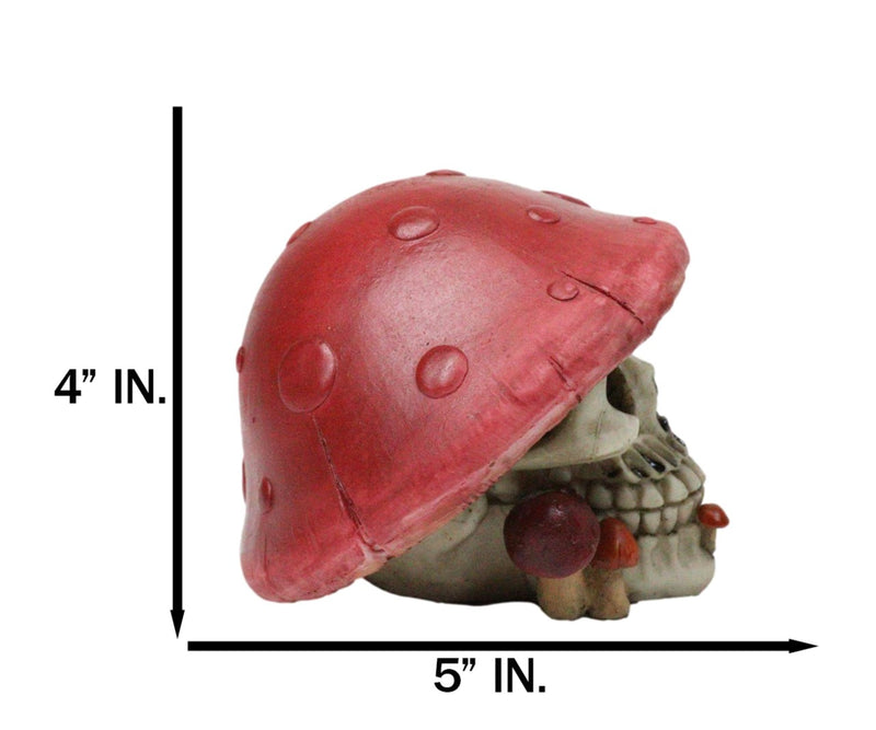 Red Macabre Toadstool Mushroom Cap Skull With Mini Fungi Figurine 5" L