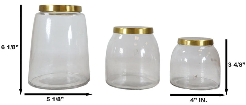 Set of 3 Clear Glass Canister Make Up Seashells Sand Storage Jars With Gold Lids