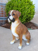 Large 18" Tall Adorable Realistic Sitting Fawn Boxer Dog Statue Home Decor