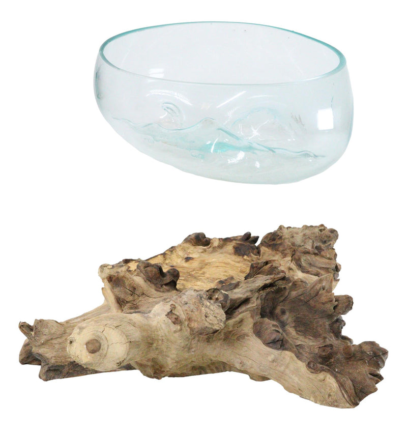 Balinese Natural Driftwood With Large Molten Glass Fruit Succulents Decor Bowl