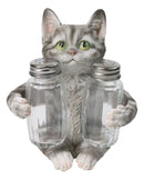 Gray Tabby Cat Salt and Pepper Glass Shakers Holder Set Cute Kitten Figurine