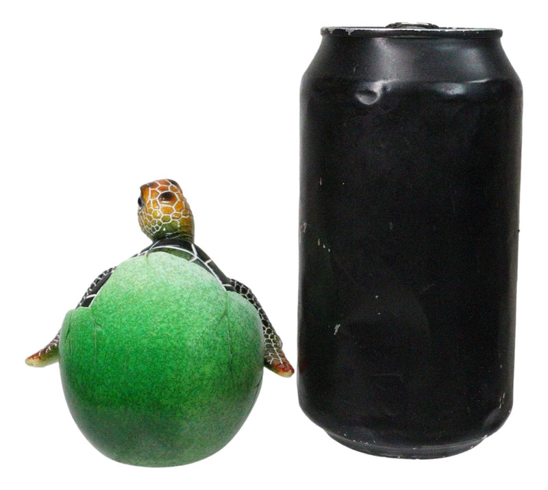 Green Nautical Marine Sea Turtle Hatchling Emerging Out of Egg Mini Figurine