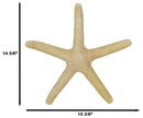 Nautical Marine Ocean Coral Yellow Sea Star Shell Starfish Wall Plaque Sculpture