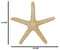 Nautical Marine Ocean Coral Yellow Sea Star Shell Starfish Wall Plaque Sculpture