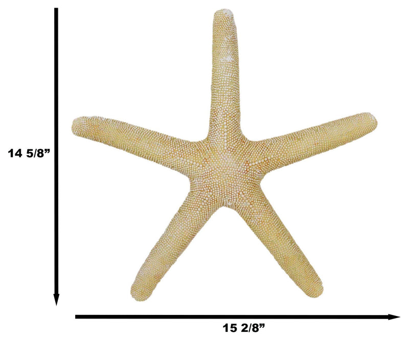 Nautical Marine Ocean Coral Yellow Sea Star Shell Starfish Wall Plaque Sculpture