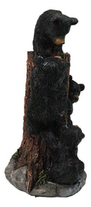Cabin Companion Tree Climber Black Bear Figurine Cub Bears Forest Tree Wildlife