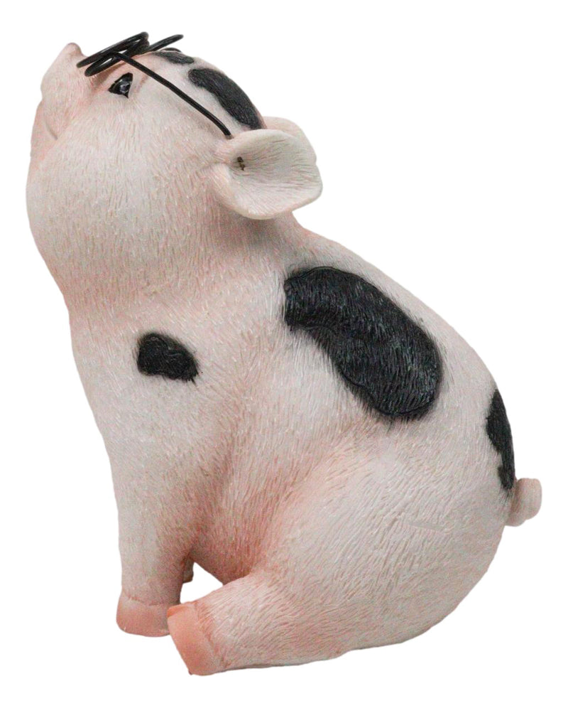 Adorable Realistic Animal Farm Napoleon Fat Piglet Pig Wearing Glasses Figurine