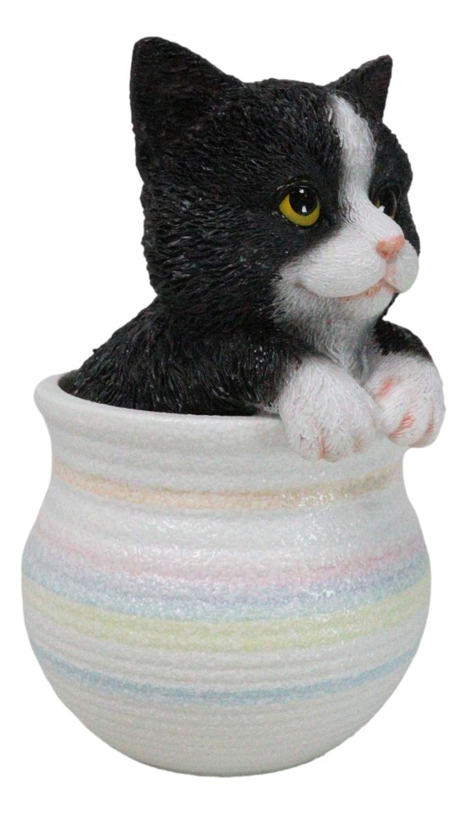 Lifelike Black And White Tuxedo Cat In Pastel Artsy Pot With Glass Eyes Figurine
