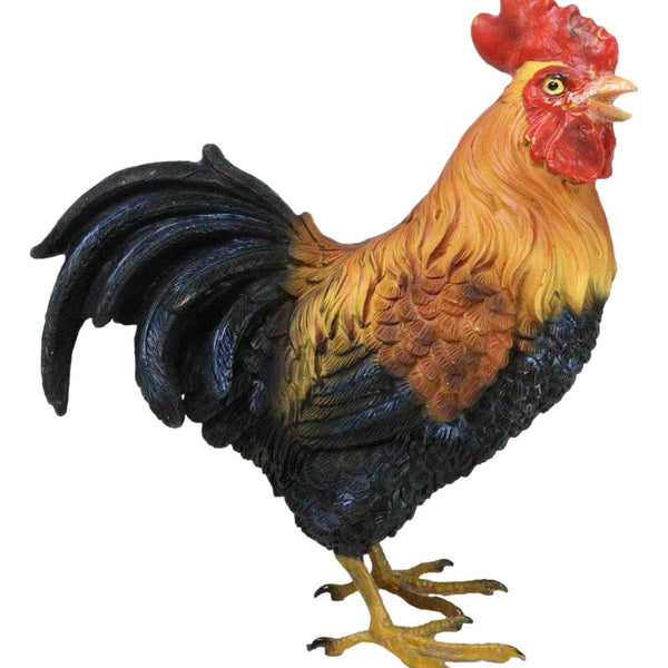 RE・BIRTH Ⅱ THE ROOSTERS 61EywF5M2iL._UF894,1000_QL80_.jpg