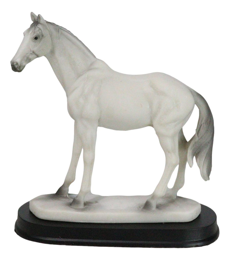 Equine Rare Breed Camarillo White Horse Steed Model Figurine On Base 6.25"L