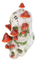 Day Of The Dead Toadstool Mushrooms & Moss Fungi Gothic Stacked Skulls Figurine