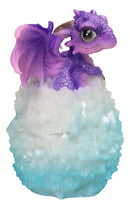 Whimsical Cute Purple Baby Dragon Hatchling in LED Crystal Icicles Egg Figurine