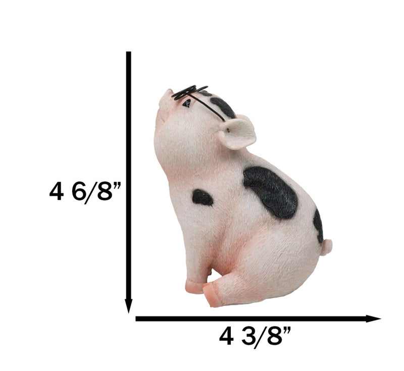 Adorable Realistic Animal Farm Napoleon Fat Piglet Pig Wearing Glasses Figurine