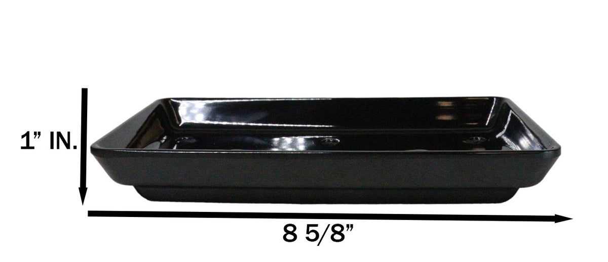 Pack Of 12 White Neta Zara Sushi Case Sashimi Plates With Drip Holes 8" By 3.75" - Ebros Gift