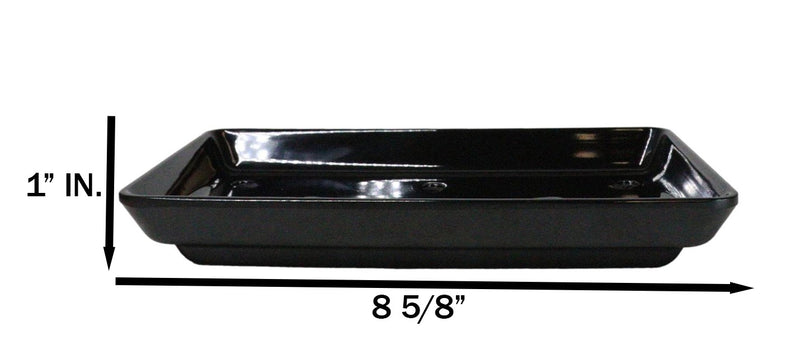 Pack Of 12 White Neta Zara Sushi Case Sashimi Plates With Drip Holes 8" By 3.75"