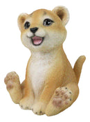 Adorable Prince of The Safari Jungle Forest African Lion Cub Figurine 4" Long