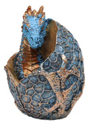 Metallic Bronze and Blue Azure Dragon Hatchling in Dragon Scales Egg Figurine