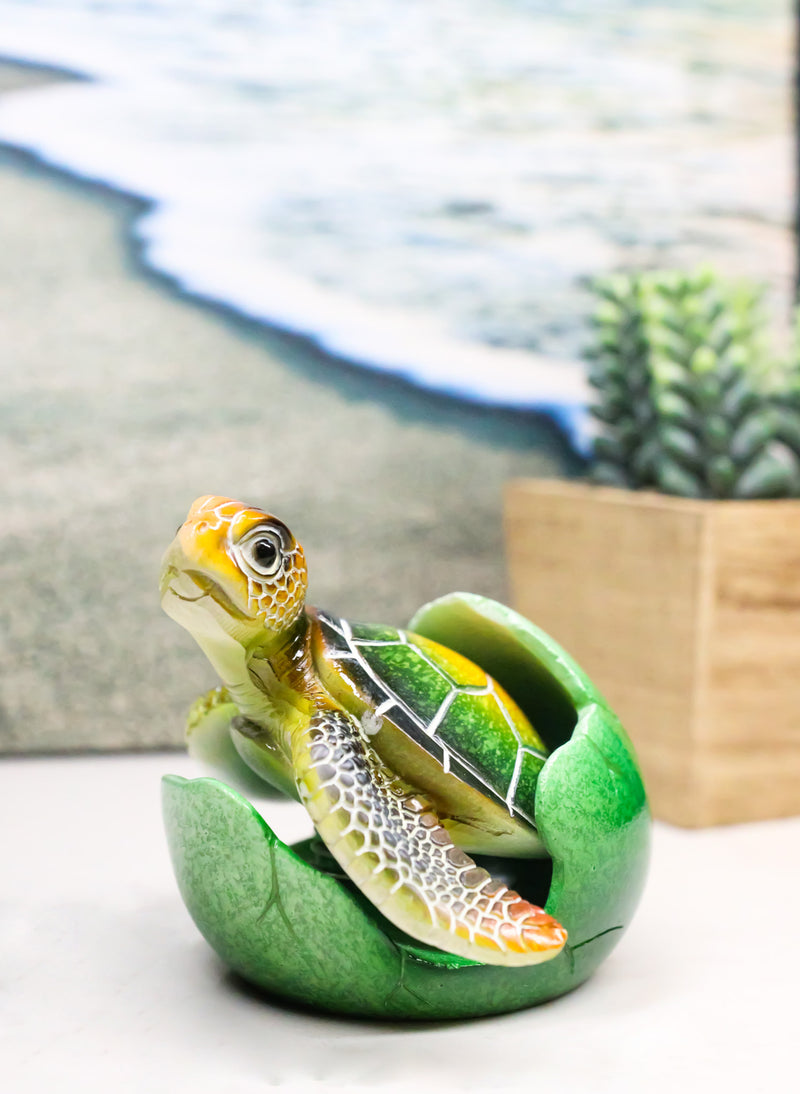 Green Nautical Marine Sea Turtle Hatchling Emerging Out of Egg Mini Figurine
