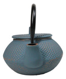 Sky Blue Hobnail Rustic Textured Petite Cast Iron Teapot 10oz Tea Pot