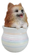 Pet Pomeranian Pom Pom Teacup Puppy Dog Figurine With Glass Eyes Pup In Pot