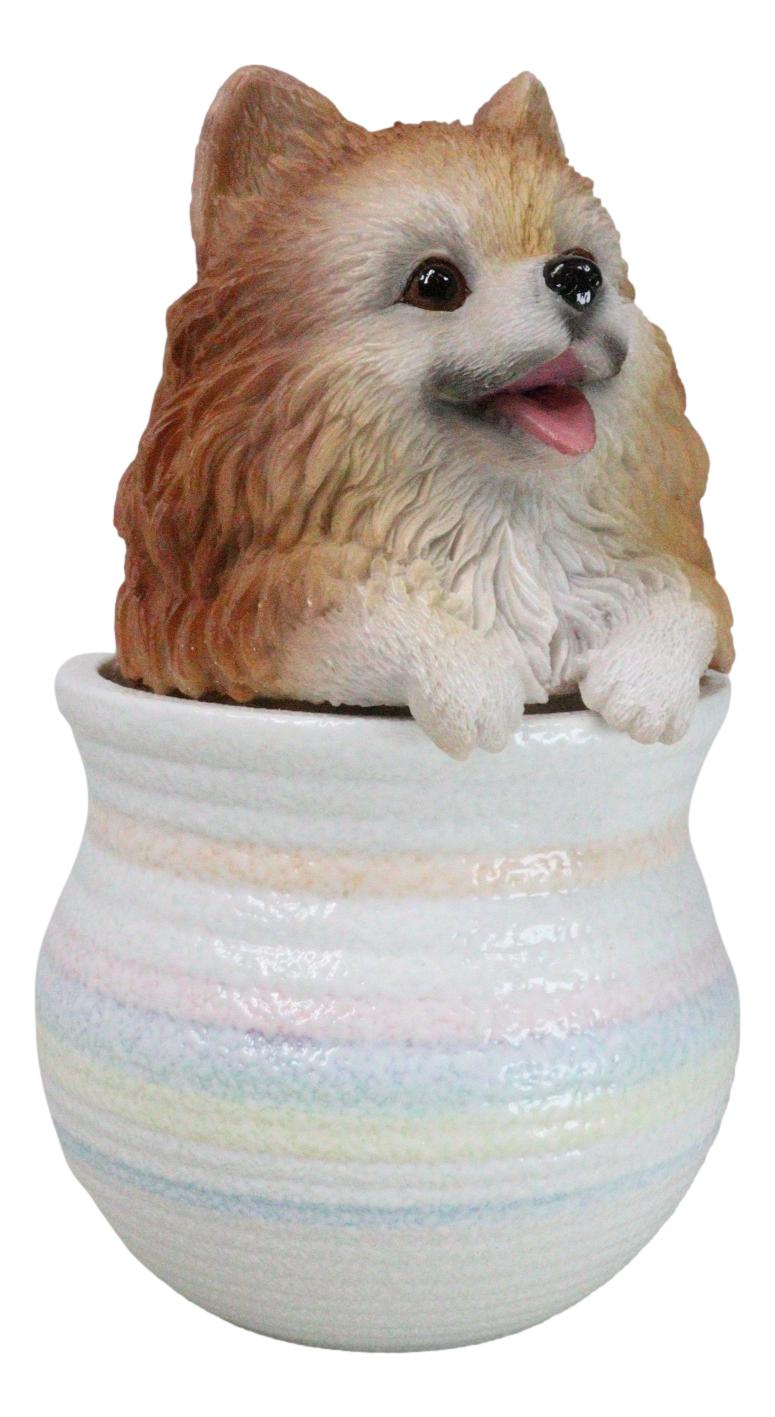 Pet Pomeranian Pom Pom Teacup Puppy Dog Figurine With Glass Eyes Pup In Pot