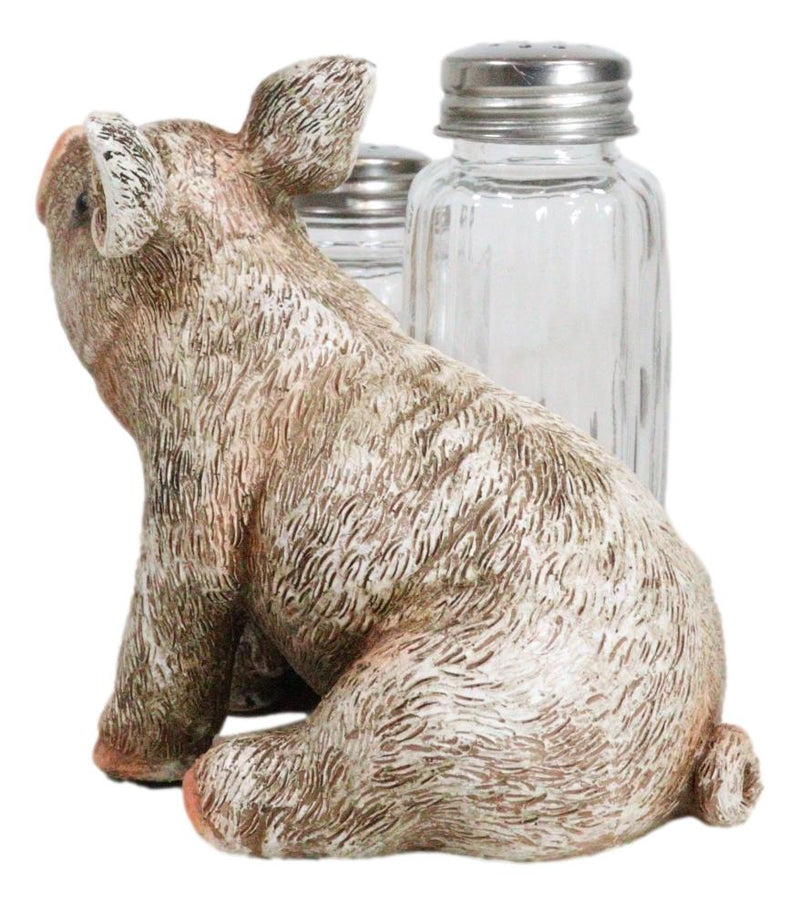 Rustic Barn Porky Pig With Farm Bucket Salt Pepper Shakers Holder Figurine