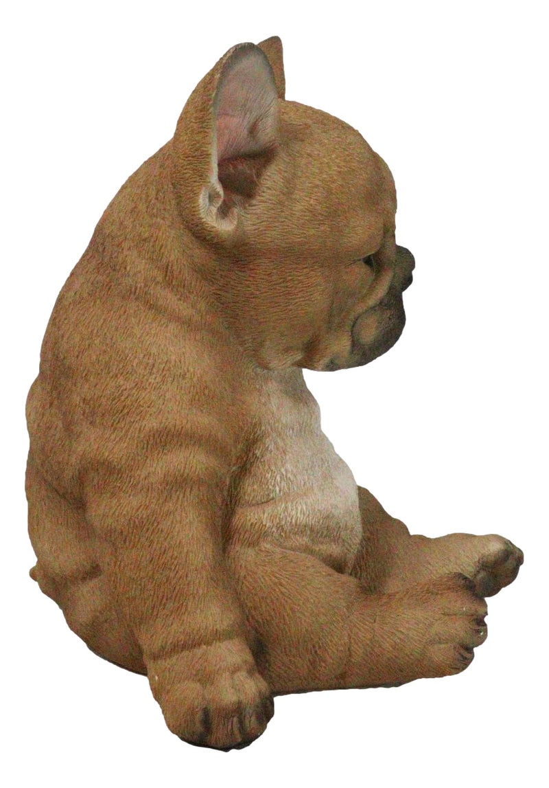 Laid Back Sitting Realistic Adorable French Bulldog Puppy Dog Figurine 7.5"H