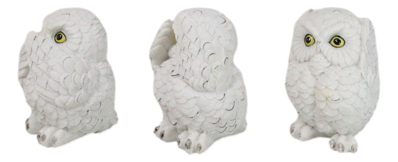 Wisdom Of The Forest See Hear Speak No Evil White Snowy Owls Mini Figurines Set