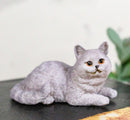 Realistic Feline British Shorthair Grey Kitty Cat Kitten Resting Mini Figurine
