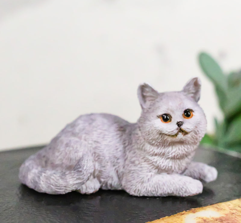 Realistic Feline British Shorthair Grey Kitty Cat Kitten Resting Mini Figurine
