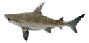 Marine Wildlife Apex Predator of The Deep Great White Shark Swimming Figurine
