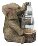 Elephant Couple with Intertwined Trunks Glass Salt and Pepper Shakers Holder
