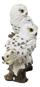 Mystical Tundra Forest Snow White Owls Couple On Tree Branch Figurine 6"H