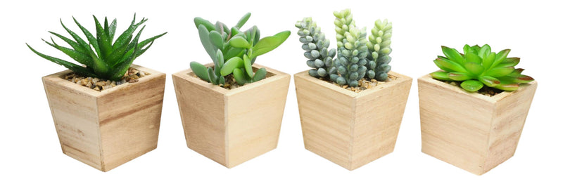 Set of 4 Realistic Artificial Botanica Green Succulents In Wooden Pots 4.75"H