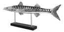 Marine Faux Taxidermy Silver Tone Large Barracuda Fish Sculpture With Pole Stand