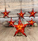 Set Of 6 Red Starfish Sea Stars Ocean Marine Wall Hanging Decor Tree Ornaments