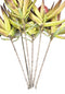 Set of 6 Realistic Artificial Botanica Faux Plants Thistle Fern Grass Leaf Stems