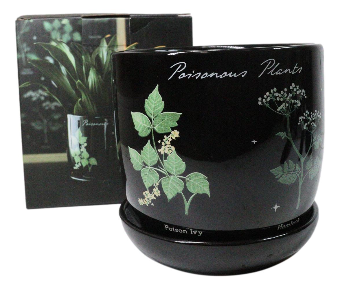 Witchcraft Magic Dark Forest Poisonous Plants Ceramic Planter Pot W/ Saucer Set