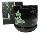 Witchcraft Magic Dark Forest Poisonous Plants Ceramic Planter Pot W/ Saucer Set