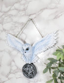 Snowy White Owl Pentagram Medallion Gothic Owl Wall Hanging Plaque 10"Long