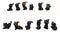 Set of 12 Halloween Black Cats With Witch Hats Mini Figurines In Multi Poses