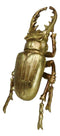 Medium Gold Resin Great Stag Horned Beetle Wall Decor Or Tabletop Figurine