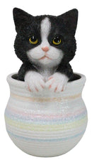 Lifelike Black And White Tuxedo Cat In Pastel Artsy Pot With Glass Eyes Figurine