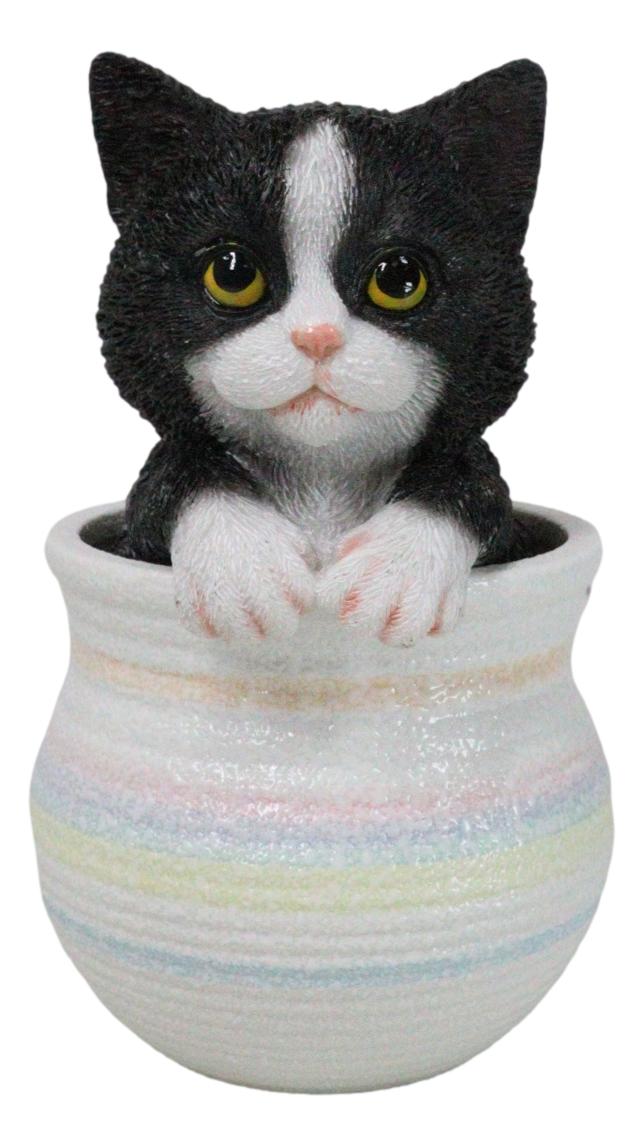 Lifelike Black And White Tuxedo Cat In Pastel Artsy Pot With Glass Eyes Figurine