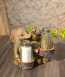 Elephant Couple with Intertwined Trunks Glass Salt and Pepper Shakers Holder