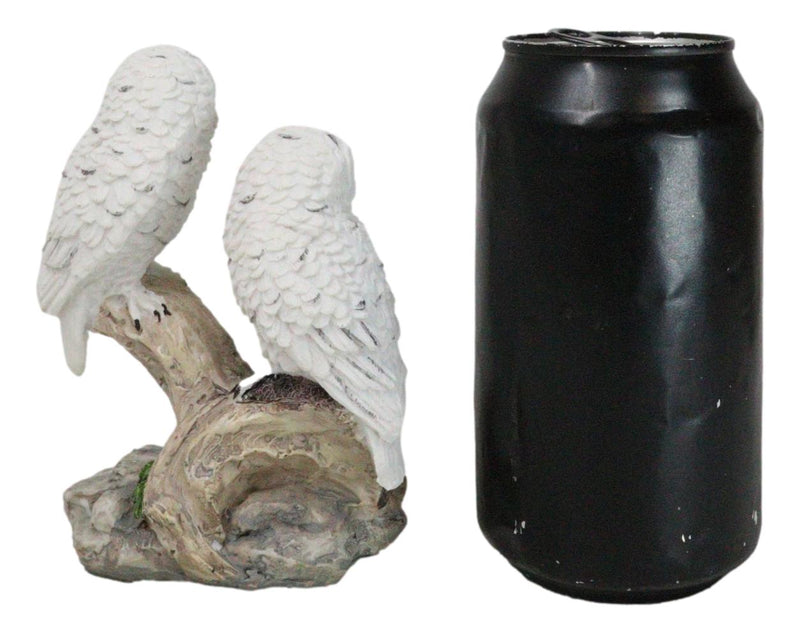 Tundra Forest Snow White Owls Couple Perching On Tree Branch Figurine 4.75"H